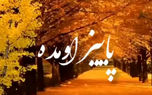 فال روزانه شخصی/ 31 شهریور + فیلم